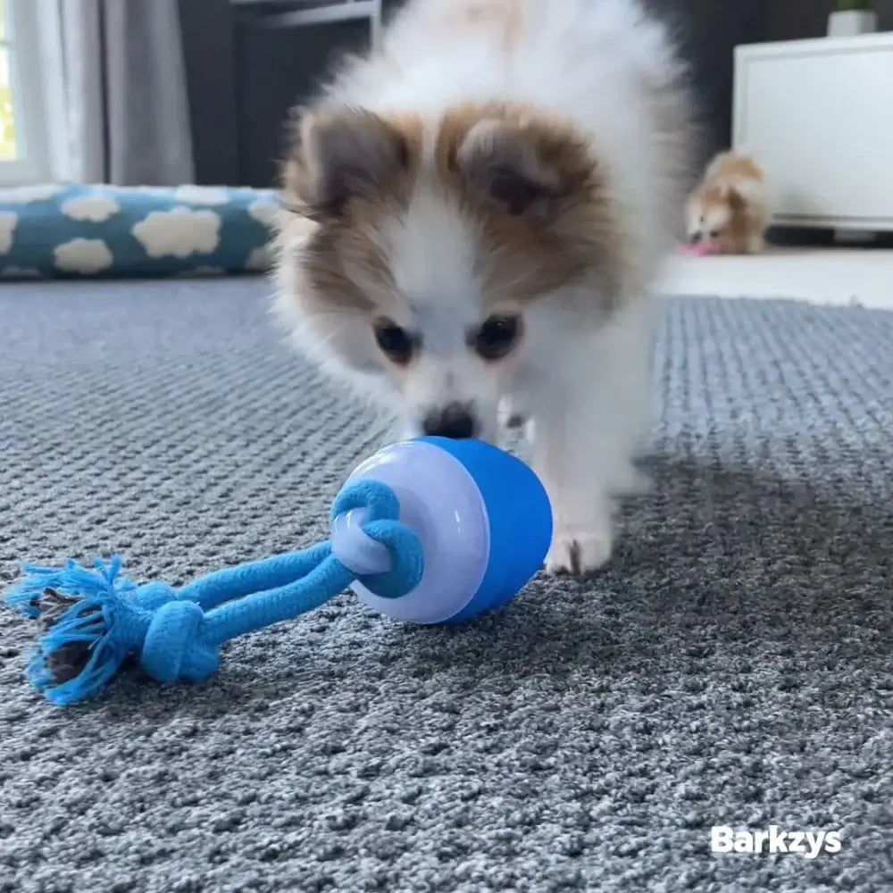 POWER TAIL 2.0