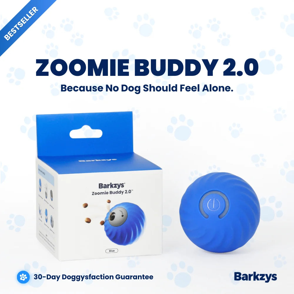 ZOOMIE BUDDY 2.0