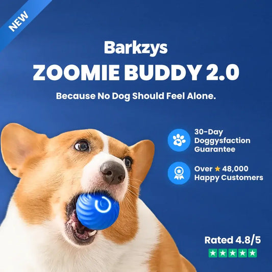 ZOOMIE BUDDY 2.0